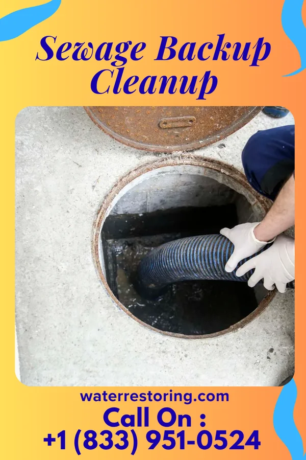 Sewage Backup Cleanup in Shalimar, FL